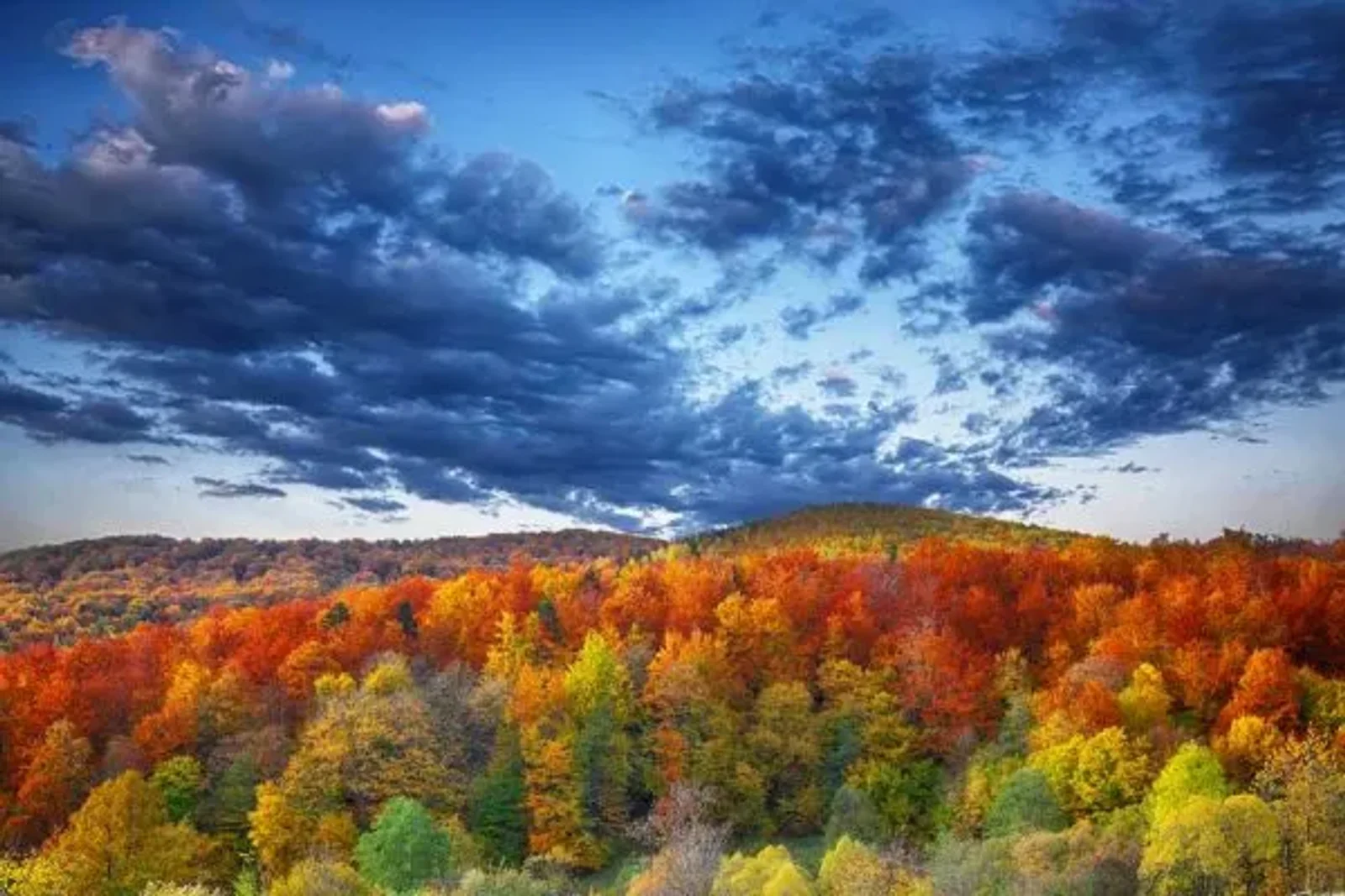 The Radiant Colours of Your Journey – Anderson Connect