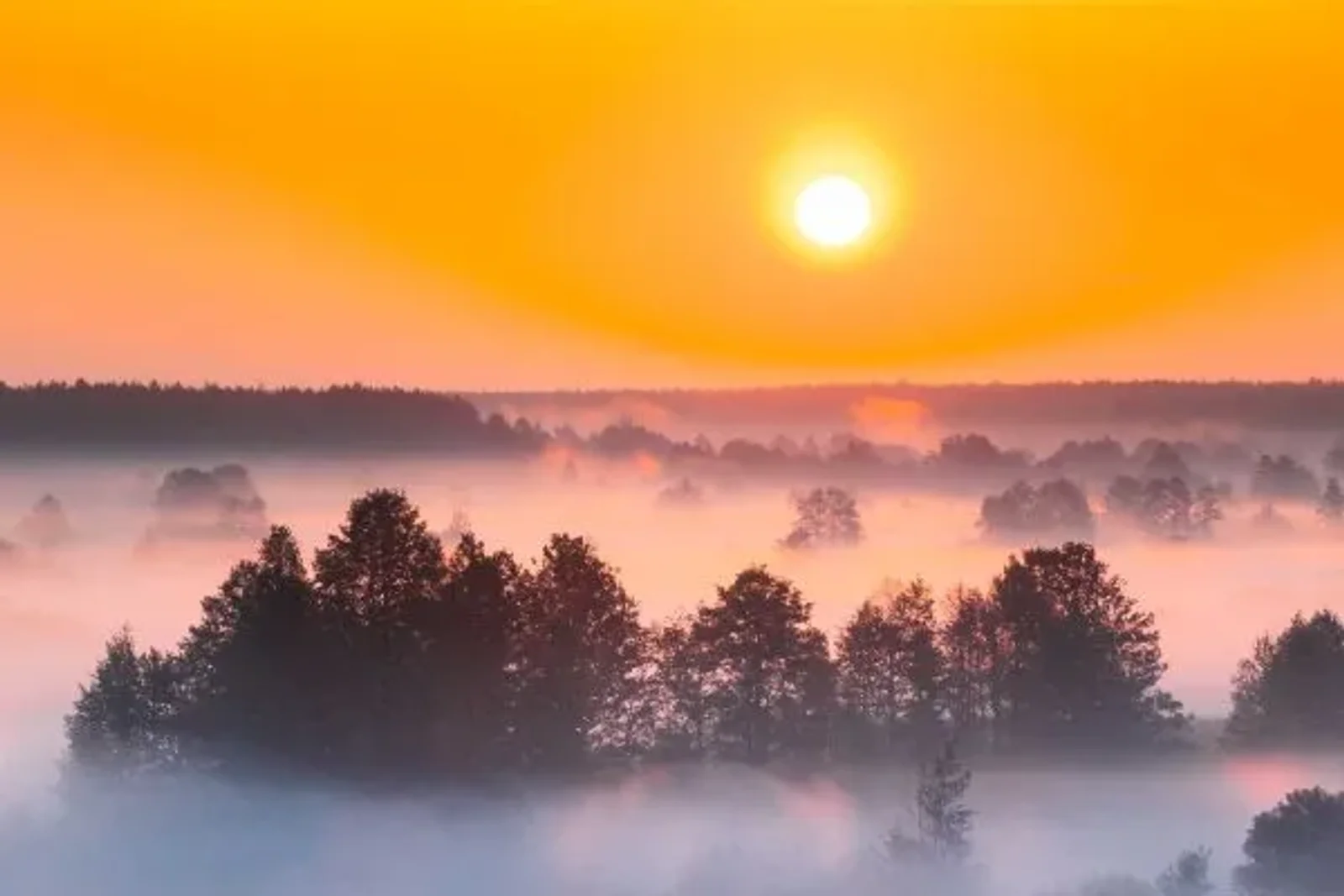 2025 Is Here: Time to Shine Bright – Anderson Connect