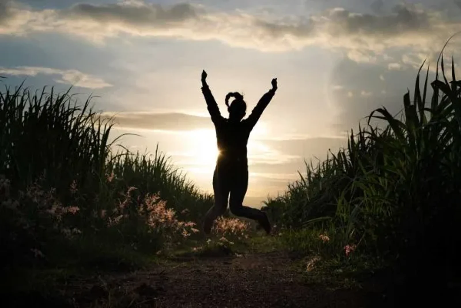 You’ve Got This! – Anderson Connect