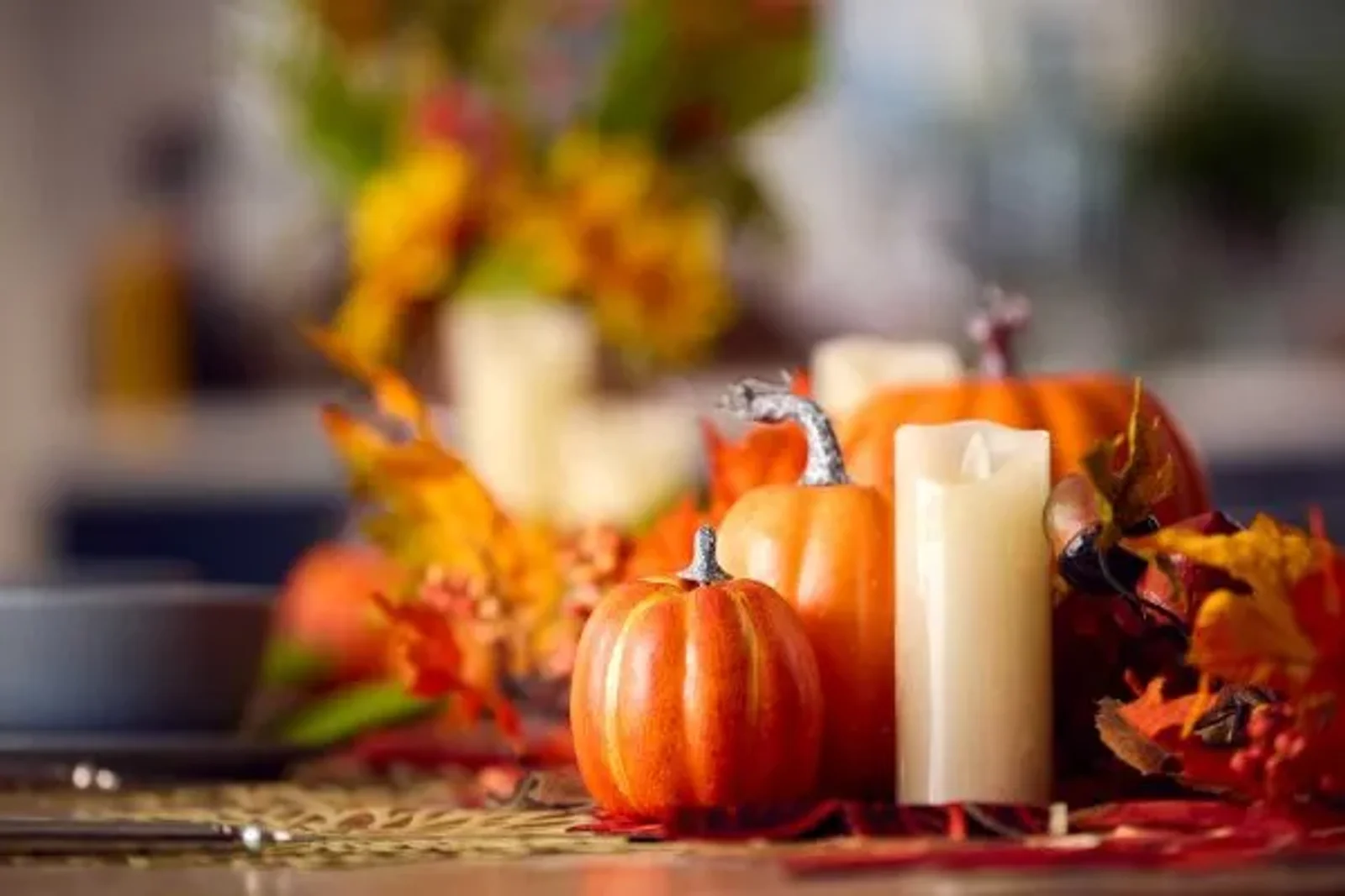 Falling into Change: Lessons from Autumn – Anderson Connect