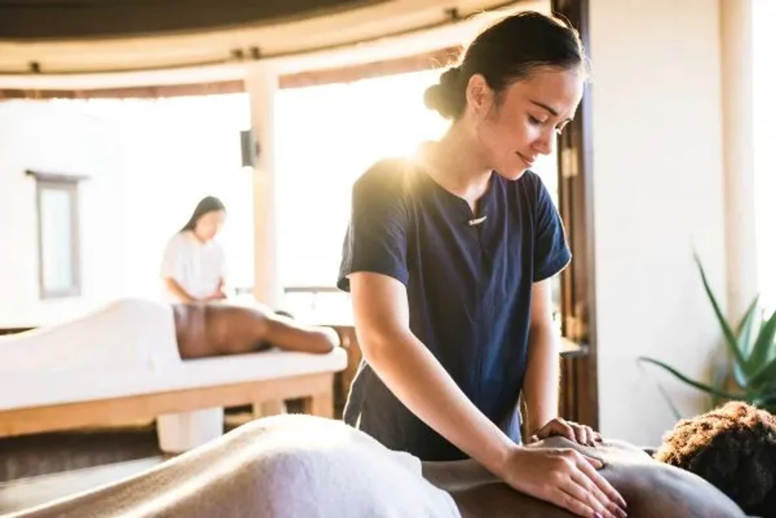 What You Need to Know Before Launching a Career in Massage Therapy