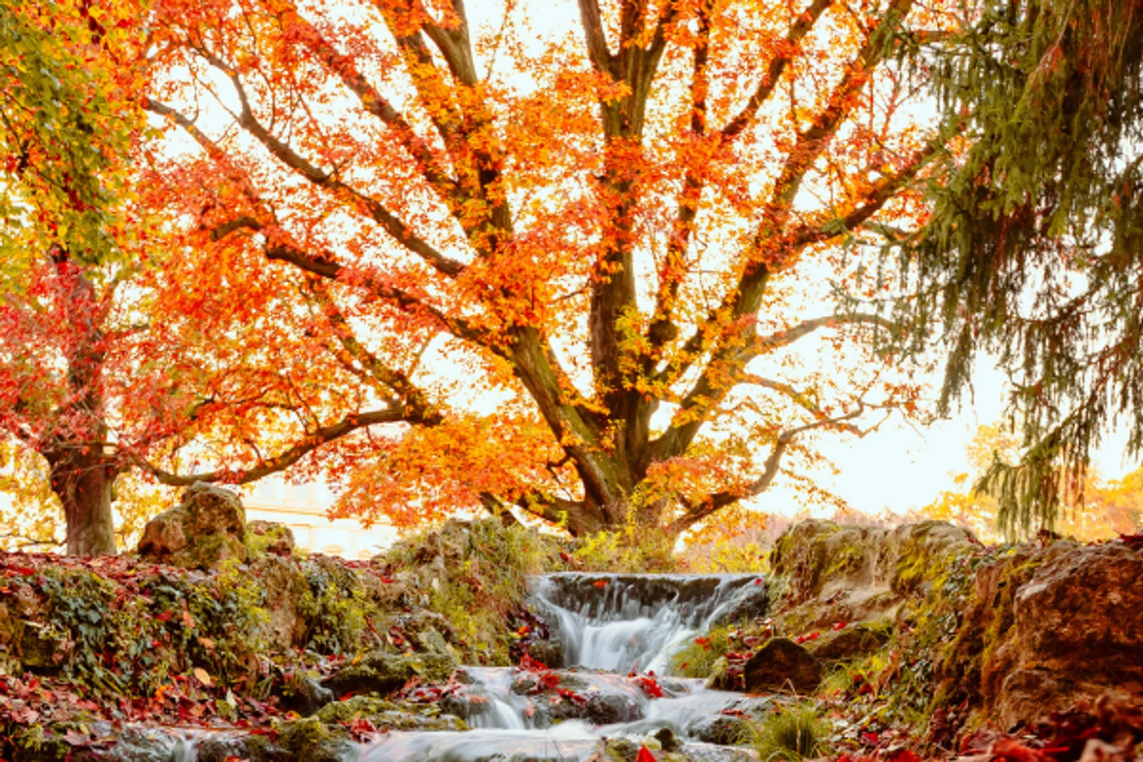 Embrace the Season of Change – Anderson Connect