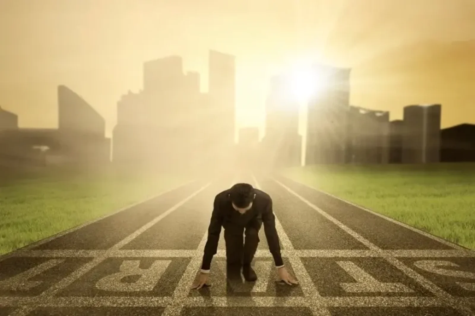 3 Ways a Business Diploma Will Contribute To Your Success