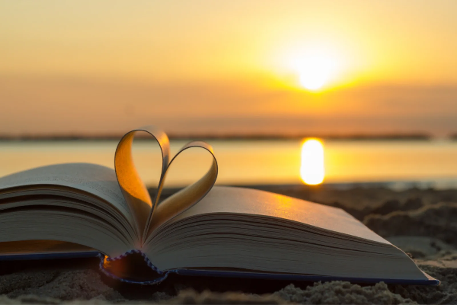 The Love That Builds Your Dreams – Anderson Connect