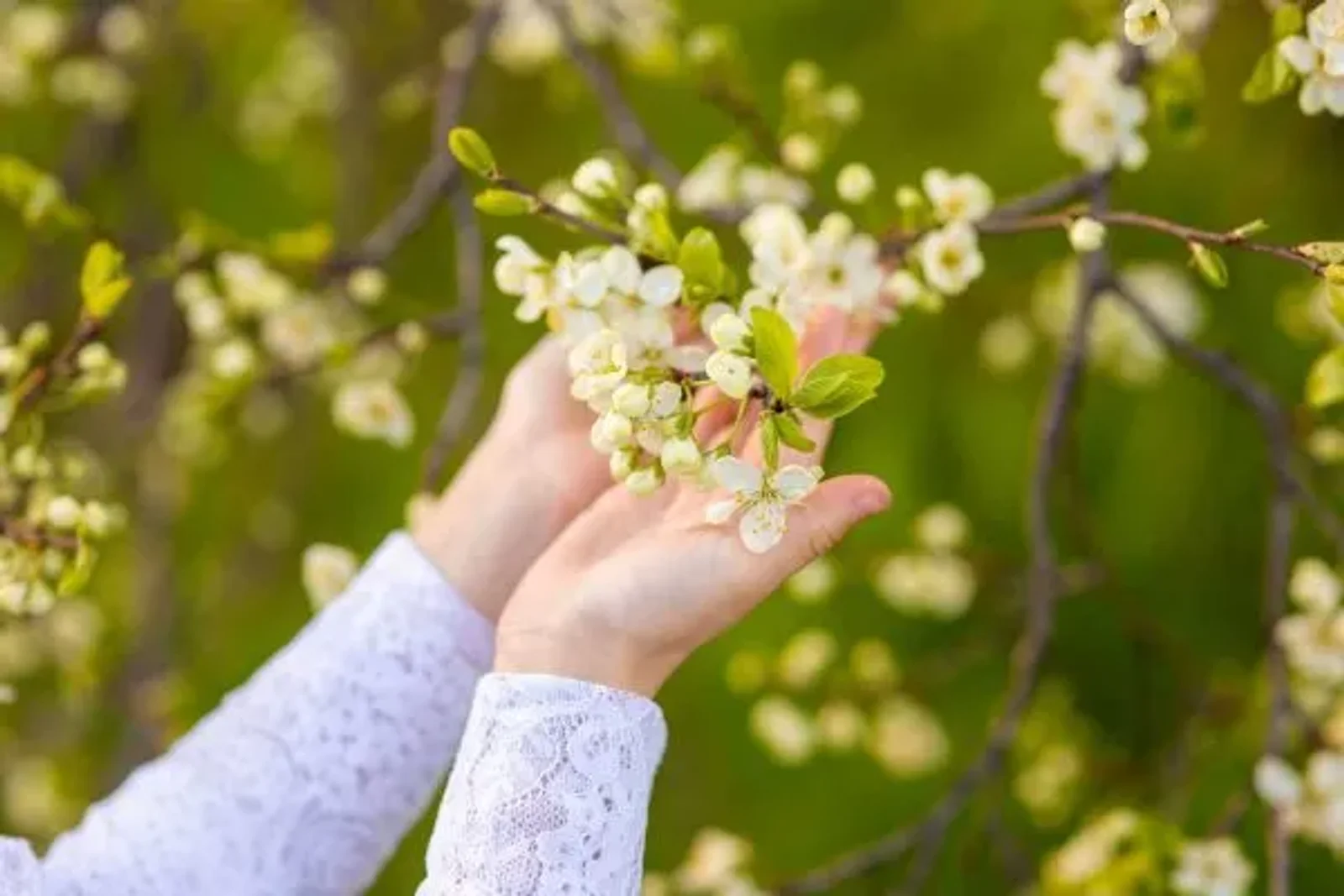 March Moments to Cherish – Anderson Connect