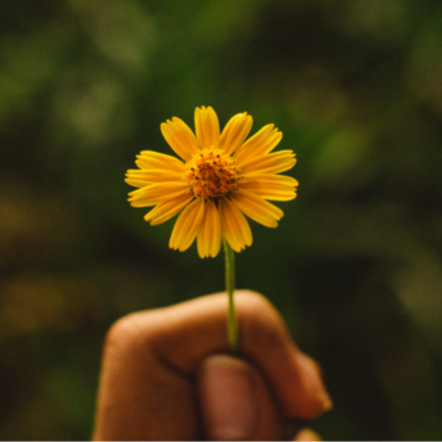 Blooming Into Your Best Self – Anderson Connect