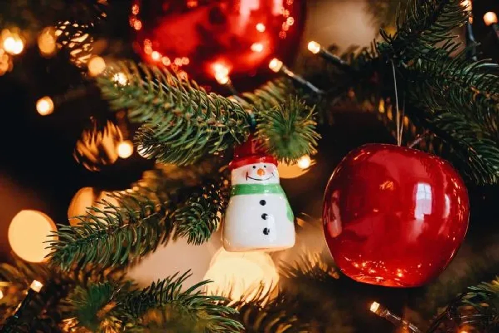 Celebrating the Holiday Spirit Together – Anderson Connect