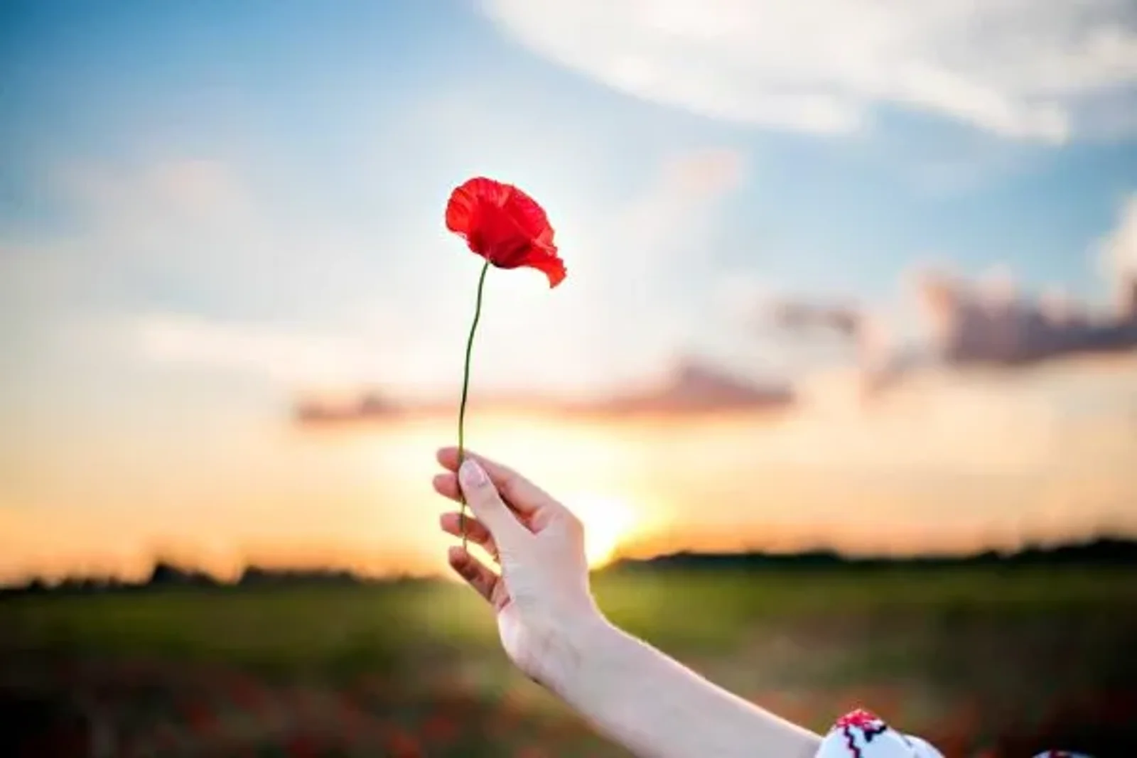 Honoring Remembrance: Inspiring Bravery – Anderson Connect