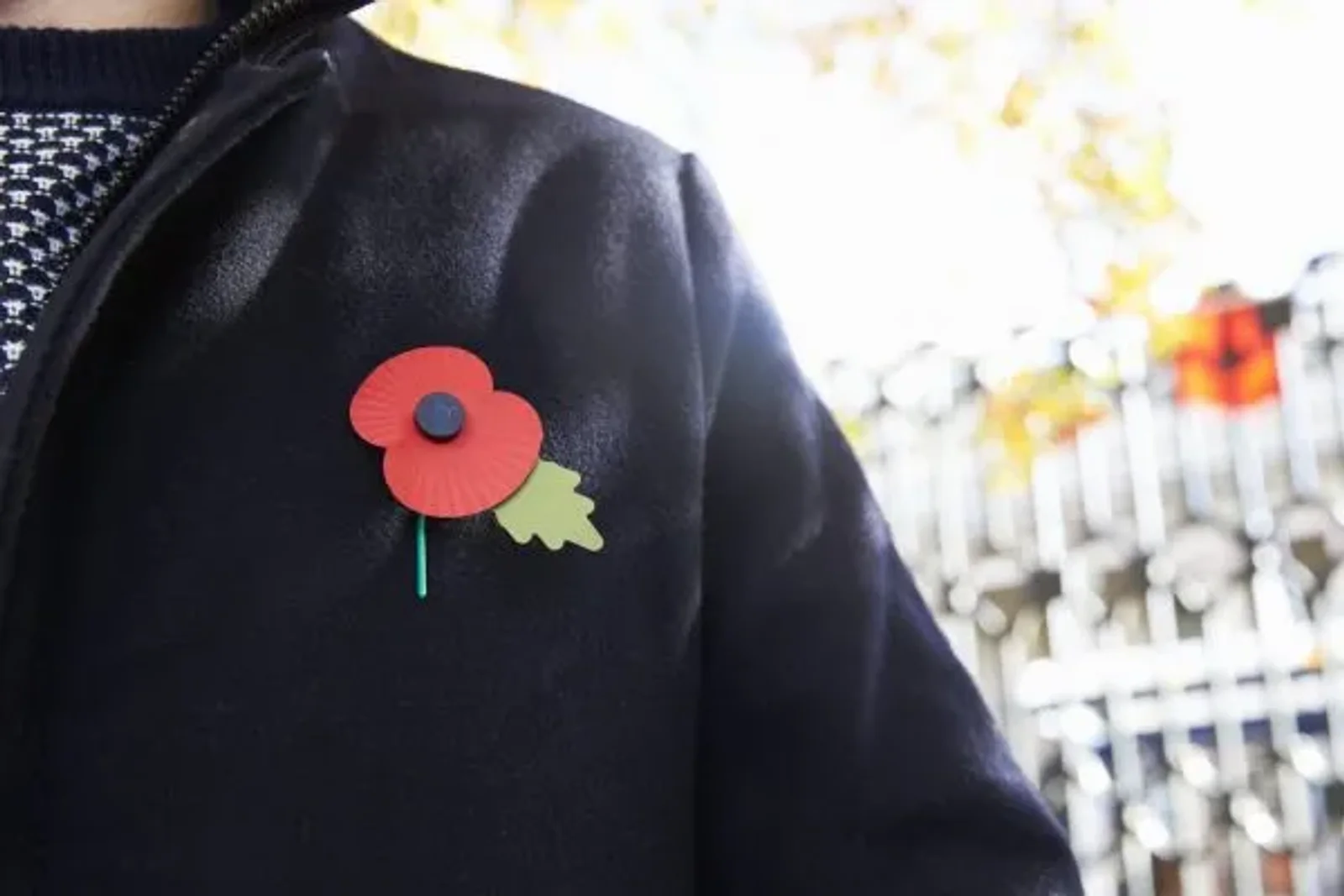 Remembrance Day: Honouring Our Canadian Heroes – Anderson Connect
