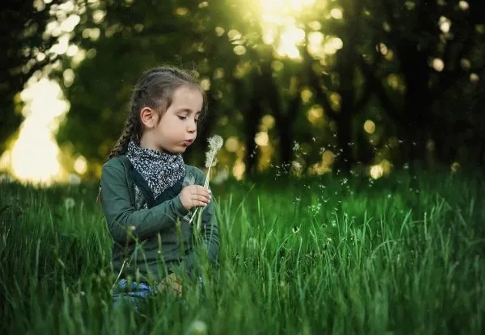 Spring is Here! – Anderson Connect