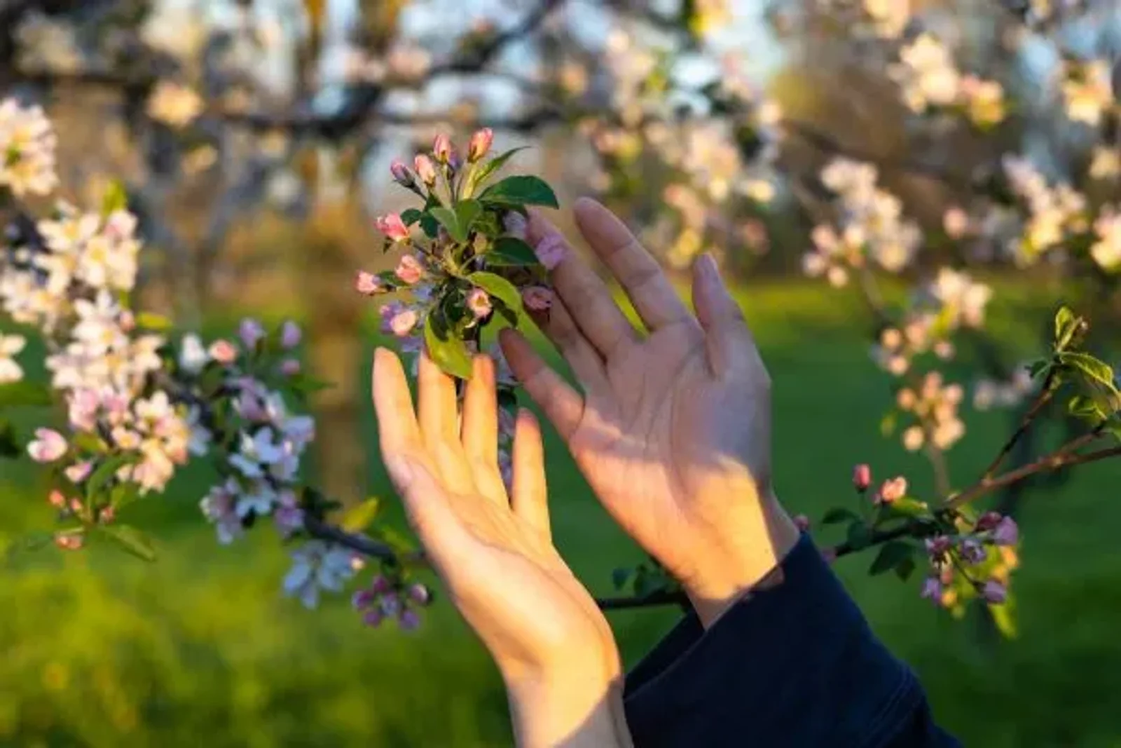 Spring Reflections – Anderson Connect