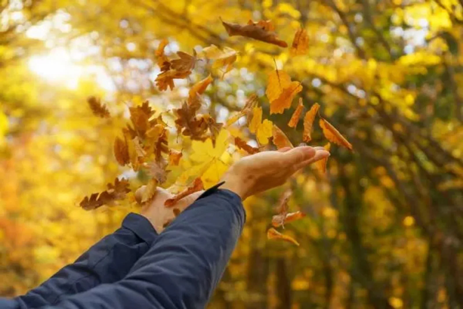 A Season of Transformation – Anderson Connect